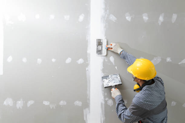 Best Post-Construction Mold Inspection  in Keaau, HI