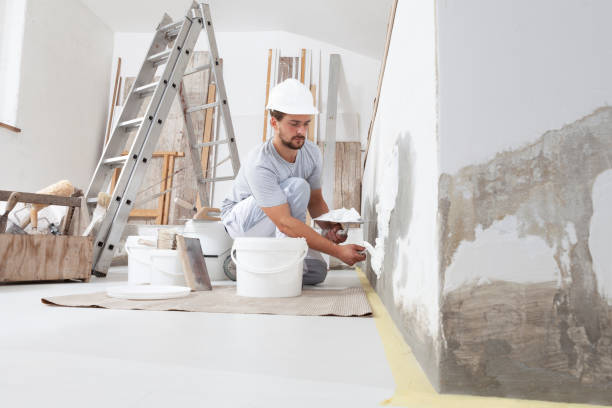 Best Mold Remediation for Rental Properties  in Keaau, HI