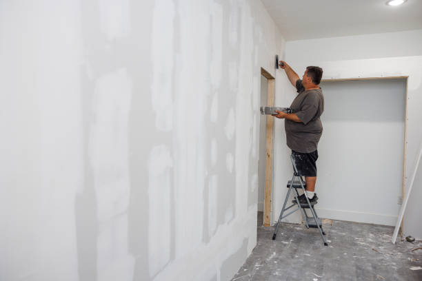 Best Industrial Mold Remediation  in Keaau, HI
