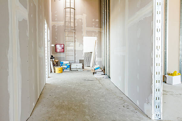 Trusted Keaau, HI Mold Removal Experts