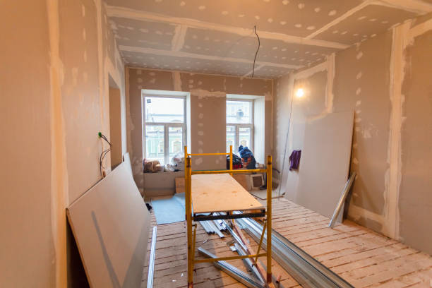Best Mold Remediation for Healthcare Facilities  in Keaau, HI