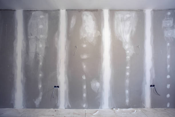 Best Environmental Consulting for Mold Prevention  in Keaau, HI